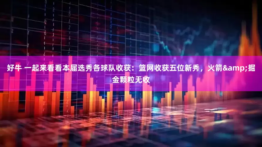 好牛 一起来看看本届选秀各球队收获：篮网收获五位新秀，火箭&掘金颗粒无收