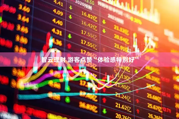 智云理财 游客点赞“体验感特别好”